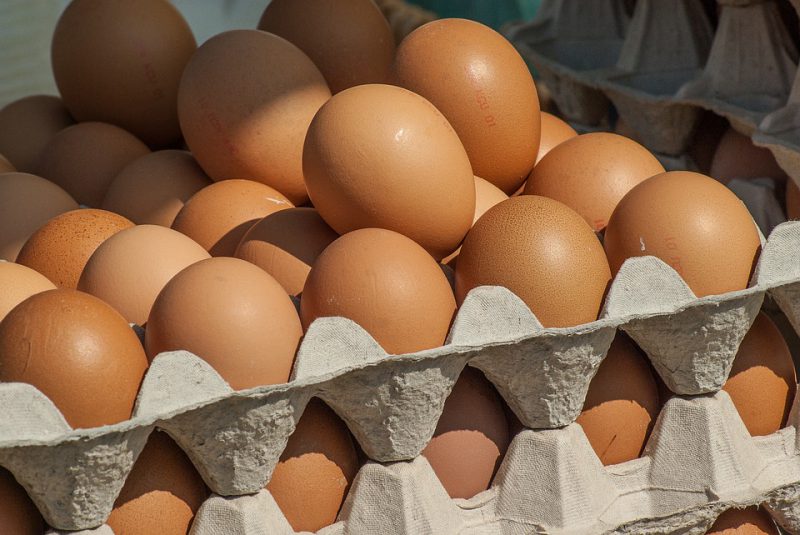 come riconoscere le uova biologiche