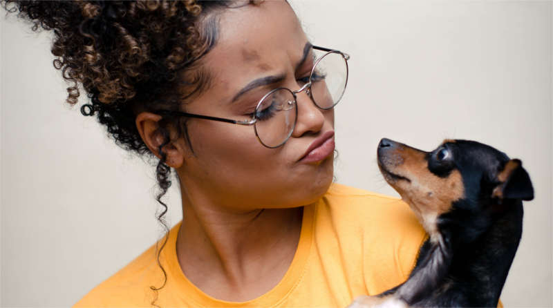 Come migliorare il rapporto con il tuo cane: conta tanto il linguaggio del corpo